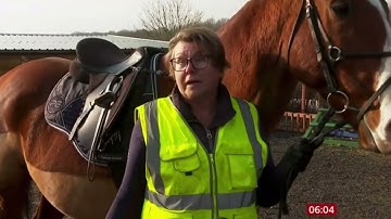 The UK Highway Code changes for the safety of horse riders, cyclists and pedestrians