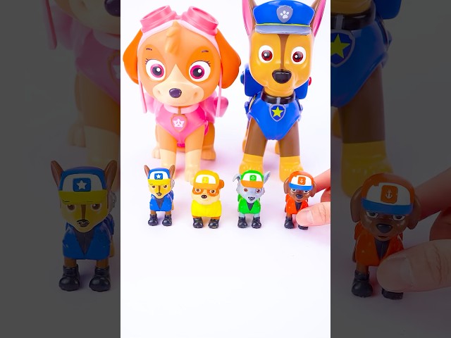 Relaxing Unboxing Experience with Paw Patrol Toy for US Collectors 🇺🇸 #pawpatroltoys #pawpatrol