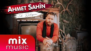 Ahmet Sahi̇n - Tek Dileğim 2022 4K Resimi