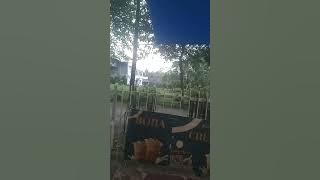 Amalkan zikir iniInsyak Alah hajat mu terkabul #motivasikehidupan #shortvidio