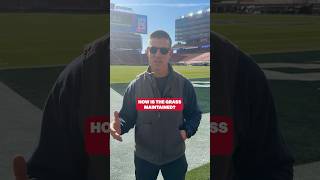 How the Super Bowl field grass is kept perfect 👀 #patriots #superbowl #nfl #shorts