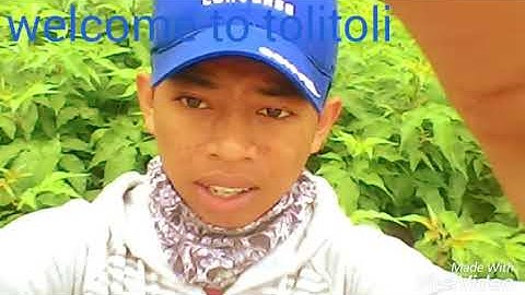 Tolitoli