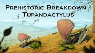 Prehistoric Breakdown: Tupandactylus