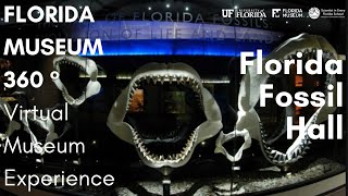 Florida Museum 360: Florida Fossil Hall