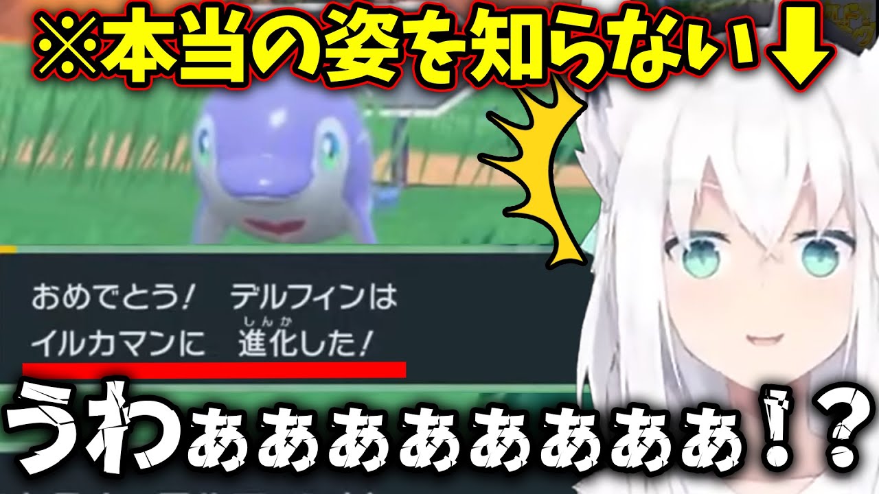 【金コイ耐久】進化したポケモンの真の姿をみて、驚愕する白上フブキと風真いろは【白上フブキ/風真いろは/ホロライブ切り抜き】