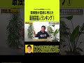 【最強芸能人】関根がマジで考えたランキング#shorts #kirinuki#関根勤チャンネル #関根勤チャンネル #中野英雄 #小沢仁志 #日本統一
