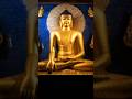 Buddha statue Mahabodhi temple #buddha #mahabodhi #bodhgaya