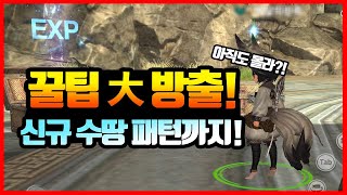 [블소레 가이드] 신규 수련의 땅 경험치 패턴 대 공개!  | [아수라발작][블소레볼] [블소] [블레이드&…