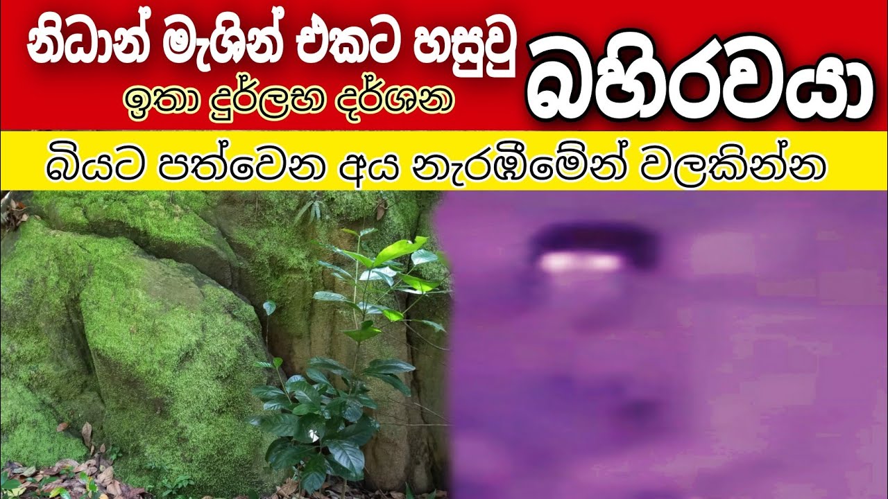 නිධාන් මැශින් එකට හසුවු  බහිරවයා. .nidan wasthu nidan salakunu ashiyab