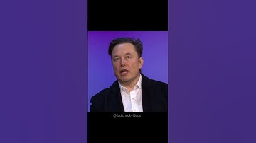 Elon Musk on Taylor Swift