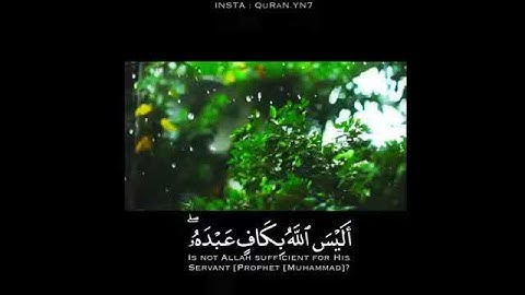 أليس الله بكاف عبده تلاوة للشيخ ناصر القطامي