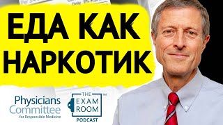 видео: Пищевая Зависимость | Нил Барнард, доктор медицинских наук картинка: Пищевая Зависимость | Нил Барнард, доктор медицинских наук