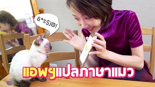 Cat Language Translator App! Can I Talk to My Cat!? screenshot 5