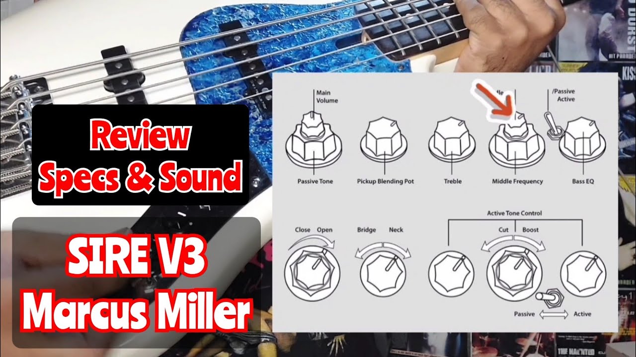 SIRE V3 Marcus Miller Bass murah original 