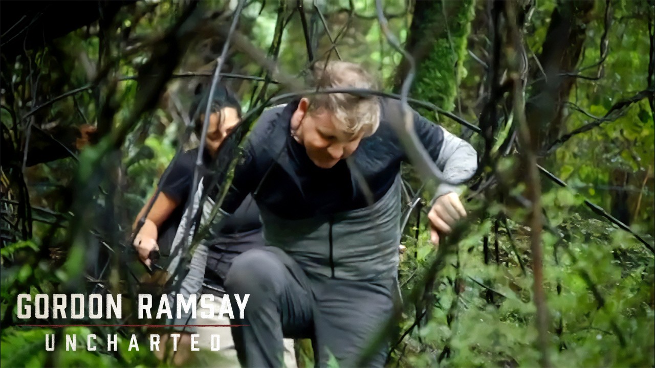 Wild Foraging: Exploring Stewart Island's Wilderness | Gordon Ramsay ...