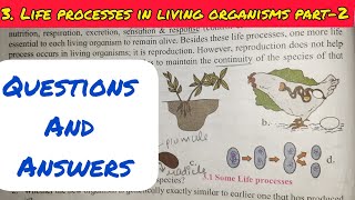 10th Std - Science 2 - Chapter 3 Life process in living organisms questions answers - Class 10 - ssc