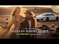 Mashallah Habibi 2025 Arabian Desert Rave Mix 