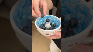 What a cute seal mug!#seal #seallovers #mug #cute #new