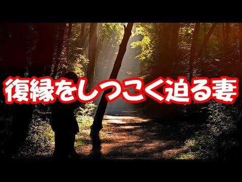 【修羅場】離婚後、実家に戻った元嫁はすぐに地元の同級生とデキ婚。繰り返す浮気と妊娠で離婚。見かねた義両親が「もしよければ再婚してくれませんか？」と言ってきた。勘弁してくださいｗｗｗ