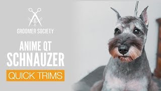 Anime Schnauzer Face | Dog Grooming