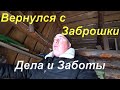 Вернулся с Заброшки. Повседневные заботы. Режу тросы. Готовлюсь к выезду в город. "Любимый василёк"