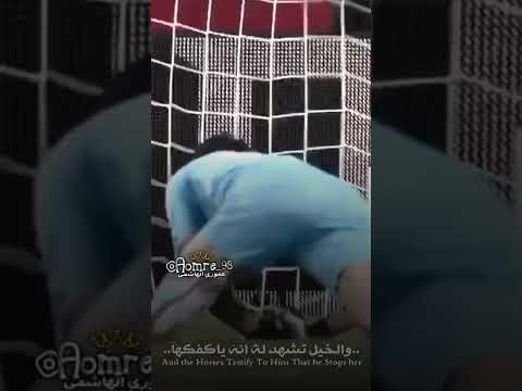 فتى يخوض غمار الحرب مبتسما خليل البلوشي