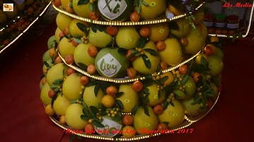Ngày hội trái cây Lục Ngạn năm 2017