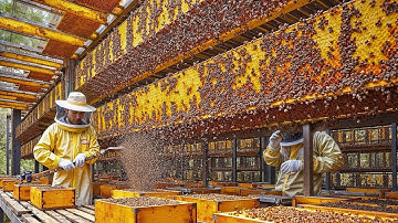 How Honey is Made in Factory | Step-by-Step Process