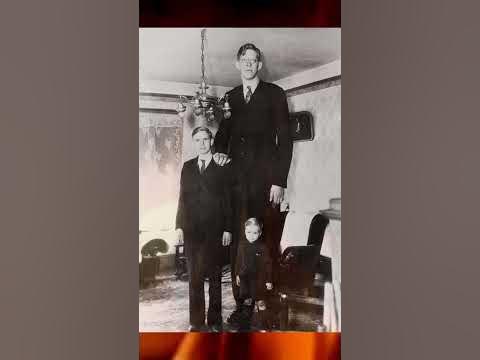 Самый высокий человек в мире Роберт Першинг Уодлоу? #shorts - YouTube