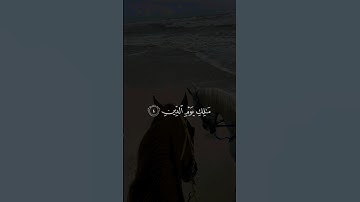 سورة الفاتحة 💛 #freepalestin #explore #اكسبلور #سورة_الفاتحة #اللهم_صل_وسلم_على_نبينا_محمد