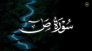 تلاوة جميلة لما تيسر من سورة ص بصوت الشيخ أنس العمادي 1447 هـ
