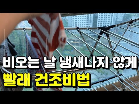 전자레인지