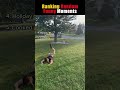 Ranking Random Funny Moment😂