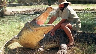 Top 10 animals with the strongest bites (Bones Crashing) by Dope Facts 785 views 6 years ago 4 minutes