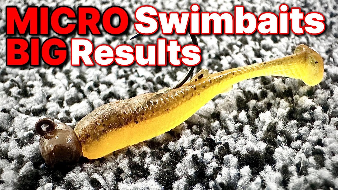 Small Swimbait, Big Results: Winter Bass Fishing Tips
