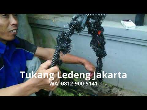 Video: Apakah Anda tukang ledeng plumbago?