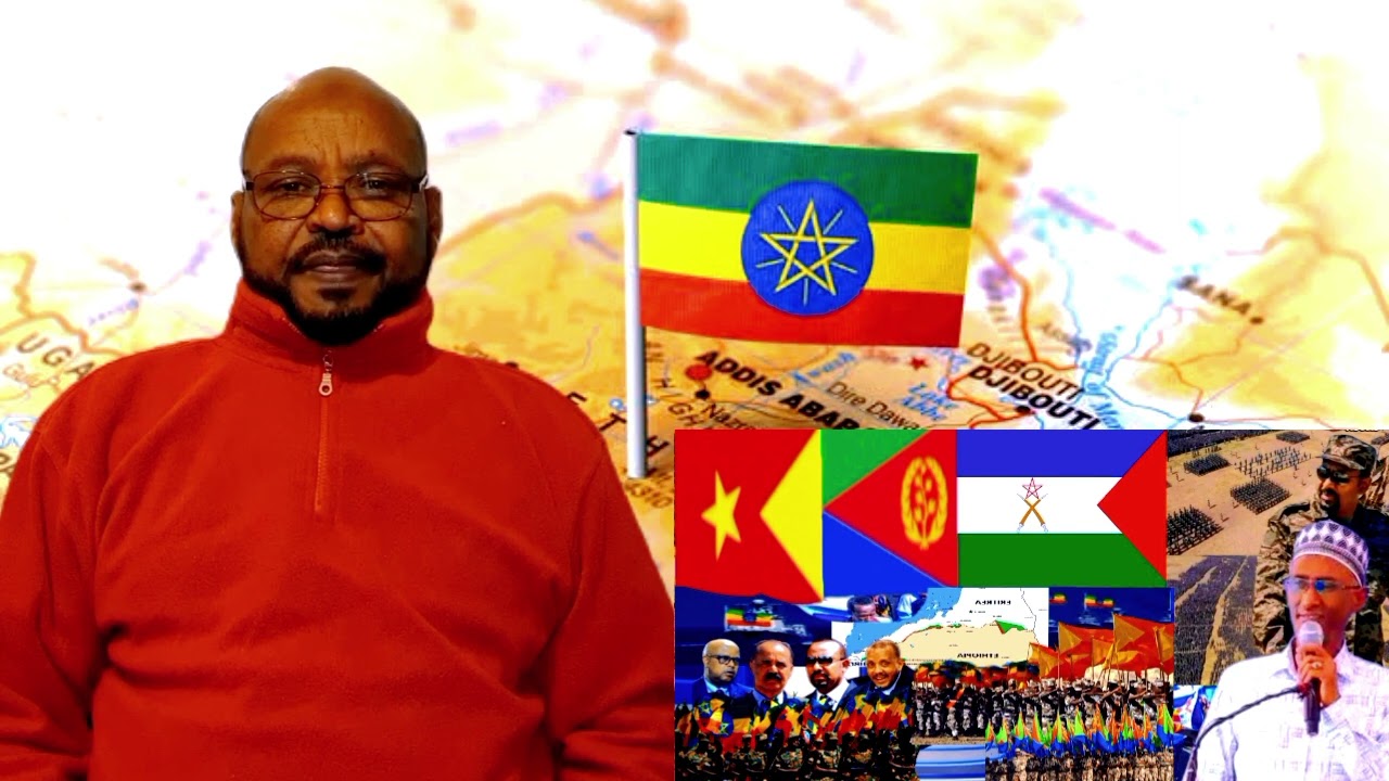 Hager Hamed Rua Qafar Media 