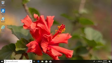 How to Enable or Disable NTFS File Encryption in Windows (Tutorial)