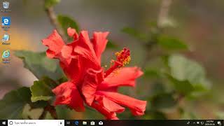 How to Enable or Disable NTFS File Encryption in Windows (Tutorial)