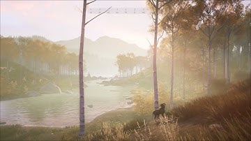 HOW BIG ARE THE MAPS in Hunting Simulator 2? Walk Across All Maps