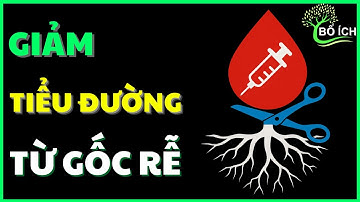 Nói Không Với Thuốc Tiểu Đường Và Đây Là Bí Mật Giảm Tiểu Đường Từ Gốc Rễ – kênh sức khoẻ bổ ích