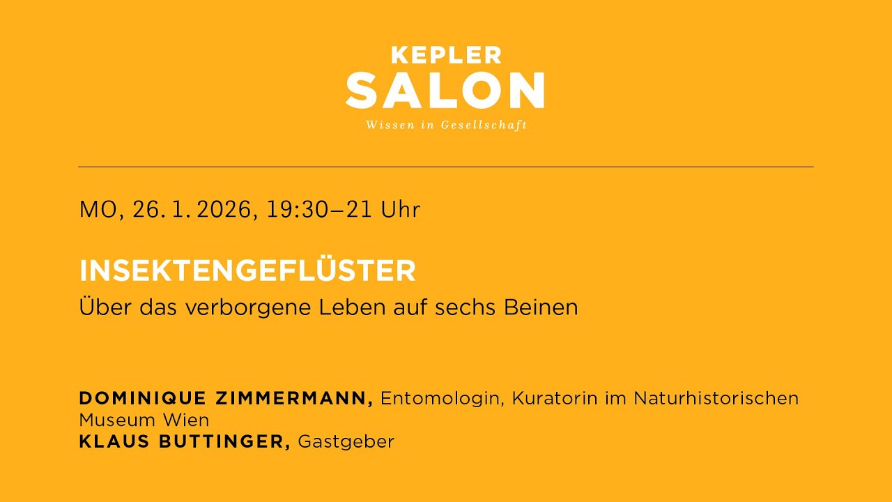 Kepler Salon: INSEKTENGEFLÜSTER