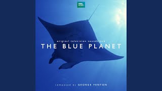 Video thumbnail of "George Fenton - The Blue Planet"