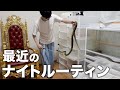 【超ハード?】2部屋使ってヘビ40匹を飼育する男のお世話ルーティン