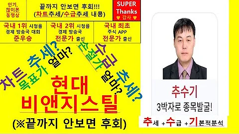 현대비앤지스틸(004560) 추수기(추수) 전문가 종목 분석