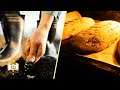 Why Bread Takes 8 Months To Make