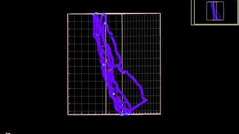 BJM8 slide5 63x mucosa merged  IMARIS   filament surface movie