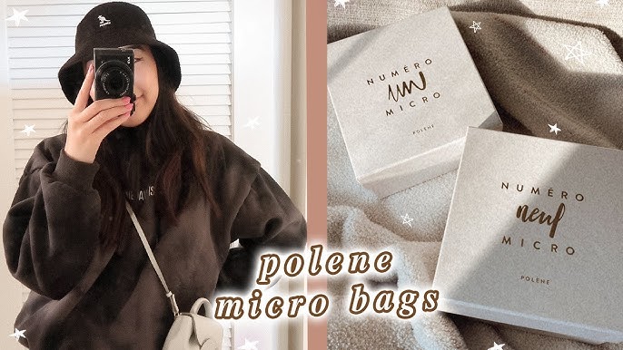 Polène Numéro UnMicro Bag