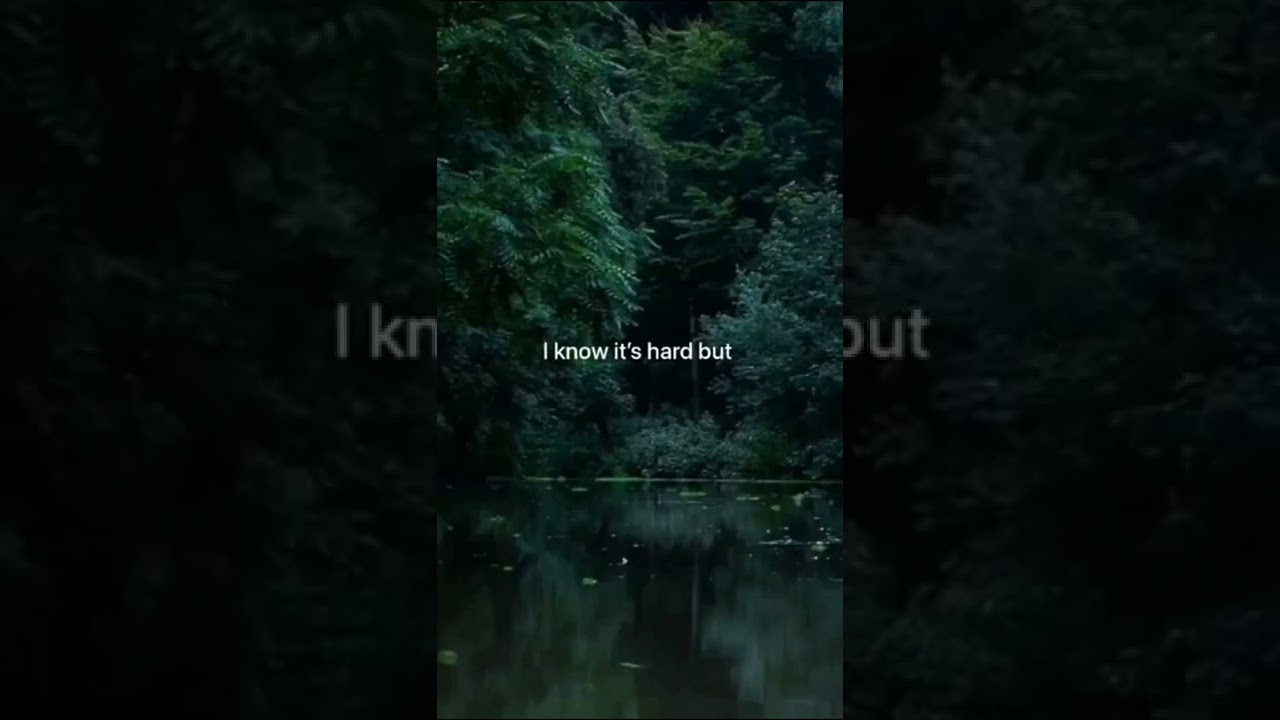 just focus on positive vibes😌 