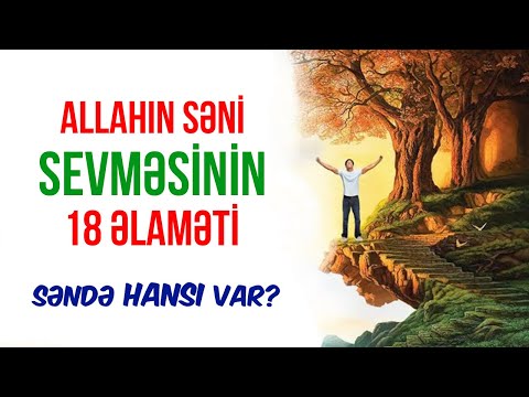 Video: Dövlətdə ailənin sosial dəstəyi